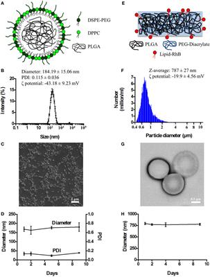 Ameliorating Amyloid-β Fibrils Triggered Inflammation via Curcumin-Loaded Polymeric Nanoconstructs